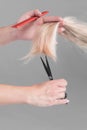 Emale hairdresser hold in hand between fingers lock of blonde hair, comb and scissors closeup. Image of hairdresser trimming ends