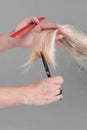 Emale hairdresser hold in hand between fingers lock of blonde hair, comb and scissors closeup. Image of hairdresser trimming ends