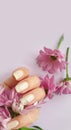 Female hand beautiful color  summer   flower  beige manicure on a colored background Royalty Free Stock Photo