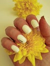 female hand beautiful manicure flower model Royalty Free Stock Photo