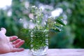 female hand, bouquet of wild flowers on old wooden table in garden, beautiful blurred natural landscape in background with green Royalty Free Stock Photo