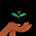 The female hand carefully holds the green sprout of the plant