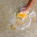 Female hand cleans the carpet with a sponge