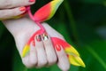 Female hand with color nail art stickers holding Heliconia plant
