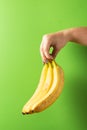Female hand with colorful manicure holding bananas on green background Royalty Free Stock Photo