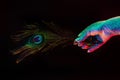 Female hand covered with holographic shining glitter holding peacock feather under neon colored light. Body art Royalty Free Stock Photo