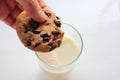 Female hand dipping chocolate chip cookie into glass of milk on white background. Close up. Royalty Free Stock Photo