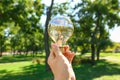 Female hand with eco light bulb outdoors Royalty Free Stock Photo