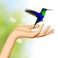 Female hand and flying hummingbird