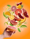 Female hand and flying slices of orange lime, lemon, grapefruit and green mint leaves. Water splash. Fruit for juicing Royalty Free Stock Photo