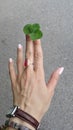 Female hand with four leaves clover and a ruby ring on the middle finger Royalty Free Stock Photo