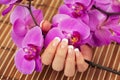 Female hand with french manicure Royalty Free Stock Photo