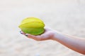 Whole exotic carambola fruit on a female hand Royalty Free Stock Photo