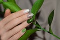 Female hand with glitter green nail design. White nail polish manicure. Female hand with green leaves on gray fabric