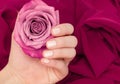 Female hand with glitter pink nail design. Female hand hold spring pink rose flower. Woman hand with pink manicure on pink rose on Royalty Free Stock Photo