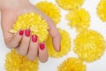 Female hand with glitter pink nail design. Pink nail polish manicure. Woman hand hold yellow orchid flower Royalty Free Stock Photo