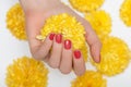 Female hand with glitter red nail design. Red nail polish manicure. Woman hand hold yellow orchid flower Royalty Free Stock Photo