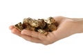 Female hand with gold nuggets on white background Royalty Free Stock Photo