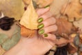 Female hand with green nail design. Woman hand hold dry leaves. Green autumn nail polish manicure with golden glitter Royalty Free Stock Photo