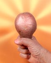 Female hand gripping non-standard ugly raw potato as if included glowing lamp with light beams on orange background