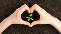 Female hand in heart shape with growing seedling. Eco concept Royalty Free Stock Photo