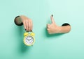 Female hand hold alarm clock and show tumb sign through a hole on neon mint background. Minimalistic creative isolated Royalty Free Stock Photo