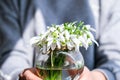 Female hand hold Bouquet of snowdrops. Copy space. Holiday concept. Beautiful spring flowers Royalty Free Stock Photo