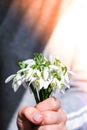 Female hand hold Bouquet of snowdrops. Copy space. Holiday concept. Beautiful spring flowers Royalty Free Stock Photo