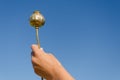 Female hand hold gold poppy on blue sky background Royalty Free Stock Photo