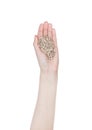 Female hand hold healthy bio sunflower seeds Royalty Free Stock Photo