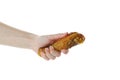 Female hand hold roast chicken drumstick, isolated on white background Royalty Free Stock Photo