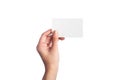 Female hand holding a blank business card on white background Royalty Free Stock Photo