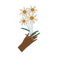 Female Hand Holding Bouquet of Camomile Flowers, Elegant Decorative Floral Design Element Vector Illustration Royalty Free Stock Photo