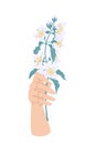 Female Hand Holding Branch of Blooming Jasmine