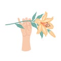 Female Hand Holding Branch of Orange Lily
