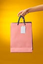 Female hand holding bright shopping bags Royalty Free Stock Photo