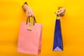 Female hand holding bright shopping bags Royalty Free Stock Photo