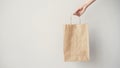 Female hand holding brown paper bag on grey background