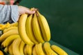 Female hand holding a bunch of bananas in the supermarket Royalty Free Stock Photo