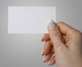 Female Hand Holding Business Card Royalty Free Stock Photo