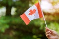 Female hand holding Canadian flag to celebrate the Canada Day holiday Royalty Free Stock Photo