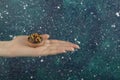 Female hand holding cookie on colorful background Royalty Free Stock Photo