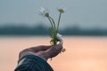 Woman holding daisies fingers colors Royalty Free Stock Photo