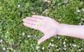 A female hand holding 2 daisies among fingers Royalty Free Stock Photo