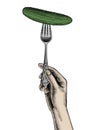Female hand holding a fork with a cucumber