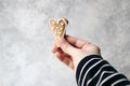 Female hand holding ginger bread heart cookie with white icing. Valentine or Mothers day holiday day composition. Love