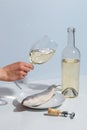 Female hand holding a glass of white wine. Minimalistic creative concept Royalty Free Stock Photo