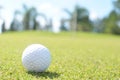 Golf ball Royalty Free Stock Photo