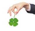 Female hand holding green clover leaf, isolated on white Royalty Free Stock Photo