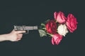 Female hand holding gun with bouquet of rose flowers Royalty Free Stock Photo